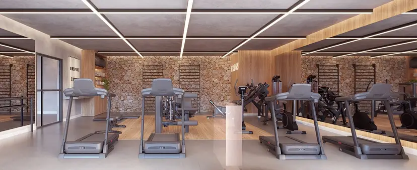 Academia
