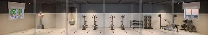 Academia